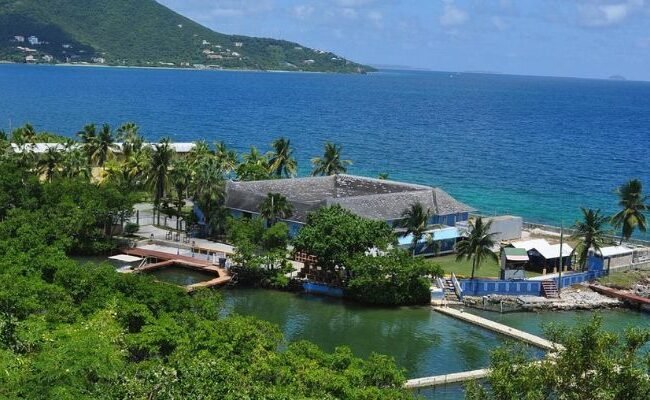 InterCaribbean Airways Tortola Office in British Virgin Islands