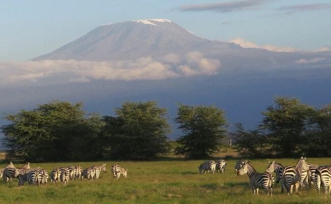 Safarilink Aviation Amboseli Office in Kenya