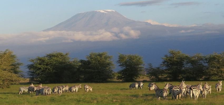 Amboseli