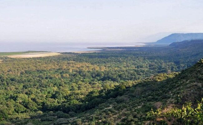 Coastal Air Lake Manyara Office in Tanzania