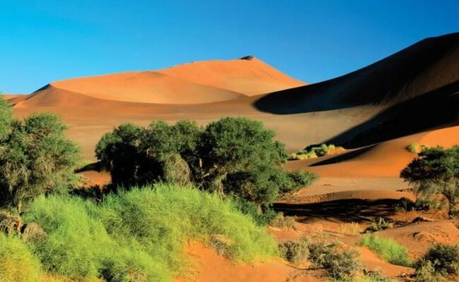 TAAG Angola Airlines Mocamedes Office in Angola